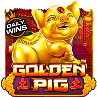 Golden Pig